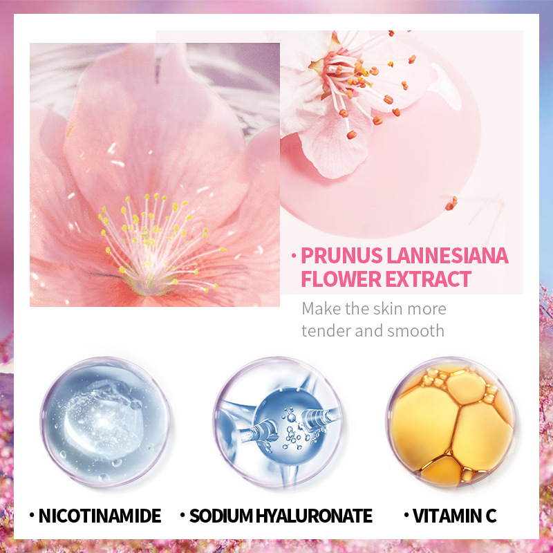 Laikou-sakura facial skin care - Makeup Beauty Set avaliação e preço